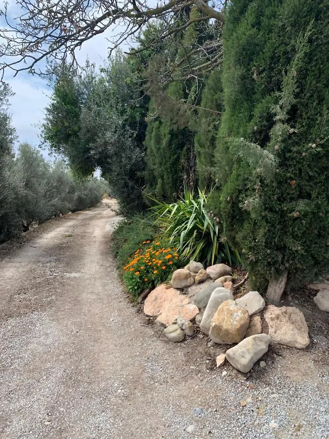 Cortijo Bustamante Guest House Baza Country house