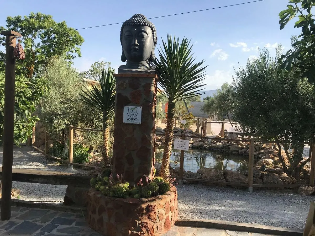 Cortijo Bustamante Guest House Baza Country house